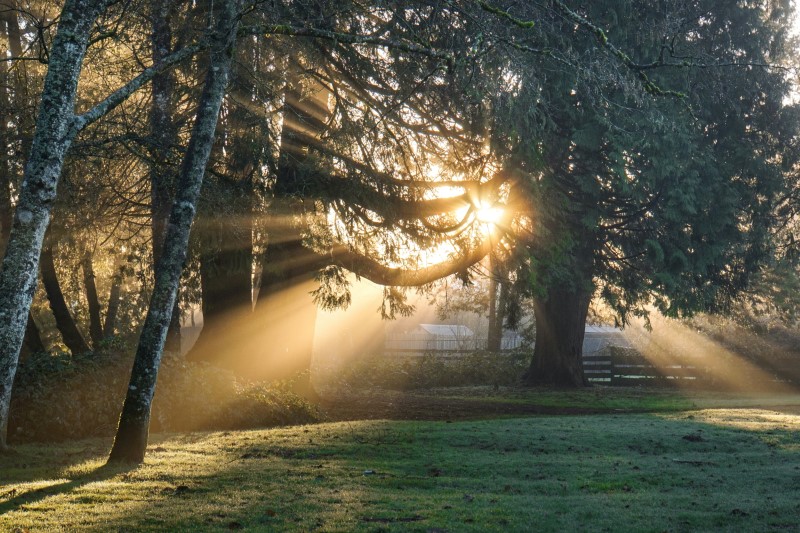 código de barras desbotado causado pelo Sunlight.jpg