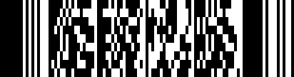 O PDF417 VIN Barcode