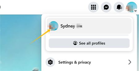 clique na foto do perfil no facebook