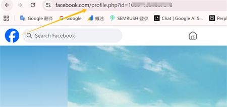 link do perfil do facebook